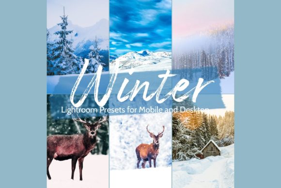 Download 10 Winter Wonderland Lightroom Presets - Premium Bundle