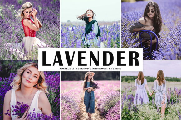 Download Lavender Pro Lightroom Presets - Premium Resources